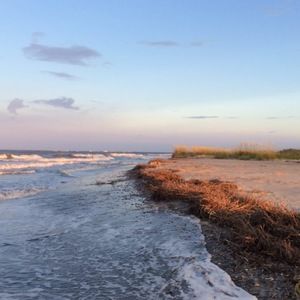 Meet your Posher, Annabel